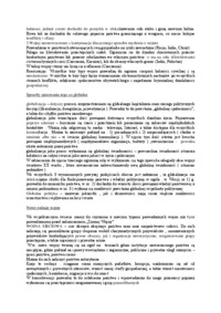 pojecia-globalizacji