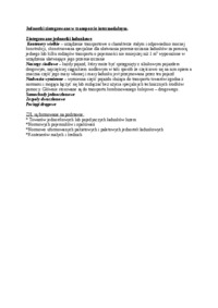 jednostki-zintegrowane-w-transporcie-intermodalnym-wyklad