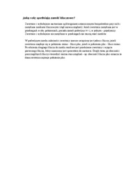 rola-zamkow-kluczowych-wyklad