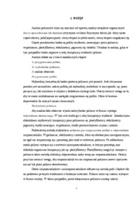 analiza-polimerow-opracowanie