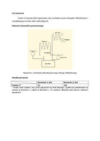 Wizualizacja działania sprężarkowych urządzeń chłodniczych-sprawozdanie