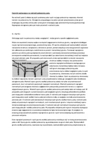 poszerzenia-stop-pali-cwiczenia