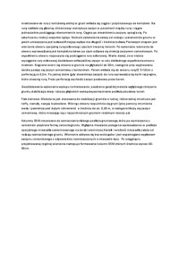 Typy zakotwień i współdziałanie z gruntem-opracowanie