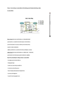 Czynniki życia każdego organizmu oraz obieg wody w przyrodzie-opracowanie