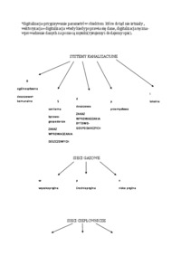 Symbolika  mapy zasadniczej