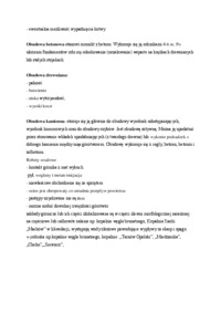 plan-ruchu-gorniczego-omowienie-1