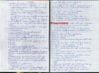 Historia gospodarcza - notatki z wykładów z całego semestru