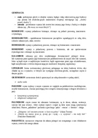 Gra słów i jej odmiany. Porządek fabuły a porządek narracji