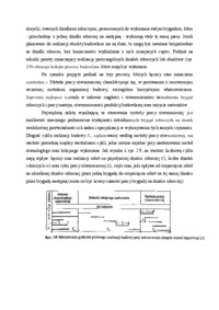 metody-organizacji-budowy