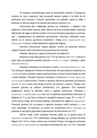 Wytwarzanie i transport mieszanki betonowej