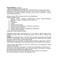 prawo-autorskie-opracowanie-1