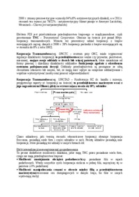 zagraniczne-inwestycje-bezposrednie-opracowanie-1