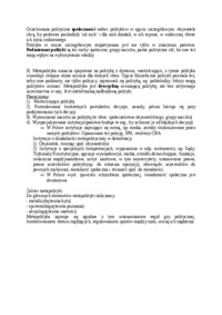 polityka-sens-pojecia-i-plaszczyzny