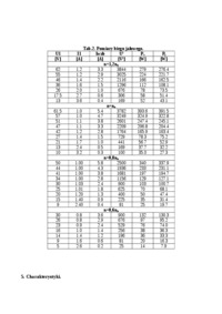 Silnik bocznikowy-opracowanie