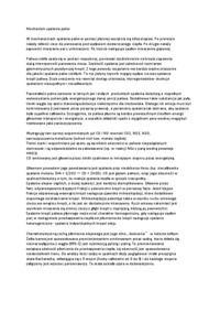 Mechanizm spalania paliw-opracowanie