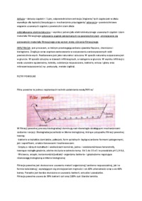 Filtracja-opracowanie - INFILTRACJA