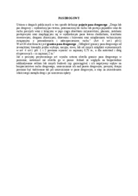 Pas drogowy w ustawie