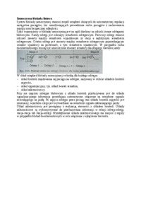 Samoczynna blokada liniowa