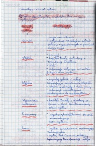 Podstawy inwestowania - notatki z wykładów z całego semestru
