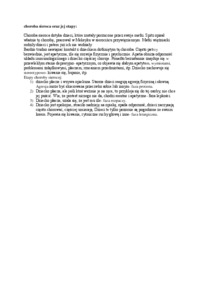 choroba-sieroca-i-jej-etapy-opracowanie