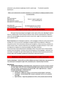 Budowa i działanie aparatów szparkowych - omówienie