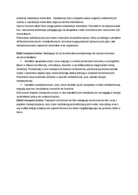 pobieranie-i-przeksztalcanie-zwiazkow-azotowych-przez-rosliny-wyzsze