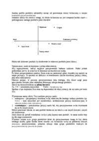 Linie produktowe - omówienie