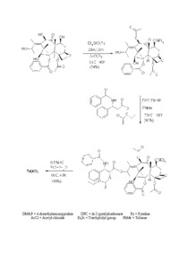 Półsynteza taksolu- opracowanie