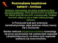 mikrobiologia-wyklad-4-bakterie-rozmnazanie-i-odzywianie