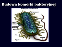 mikrobiologia-wyklad-2-1