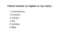 enzymy-podzial-na-grupy