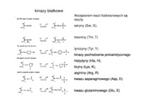 enzymologia-prezentacja