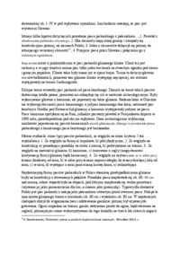 paleniska-i-piece-rozwoj-urzadzen