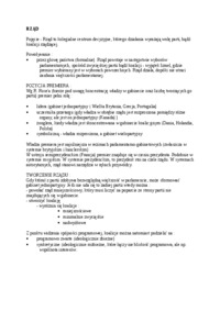 rzad-opracowanie
