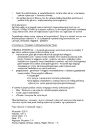 systemy-wyborcze-opracowanie