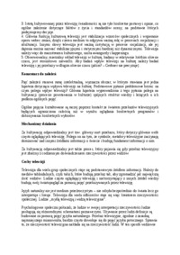 wplyw-telewizji-na-kulture-opracowanie