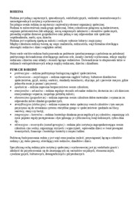Rodzina-opracowanie