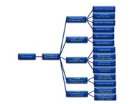 Struktura Organizacyjna i analiza PEST - prezentacja