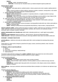 Wykład - znaczenie polityki