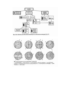 elementy-konstrukcyjne-z-drewna-litego-wyklad