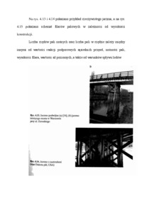 Filary palowe - wykład