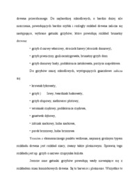 gatunki-grzybow-powodujace-rozklad-drewna-wyklad