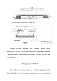 Most Gold Rush w miejscowości Dyea na Alasce - wykład
