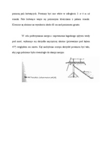 Przyczółki palowe w kształcie ścian oporowych ze skrzydłami - wykład